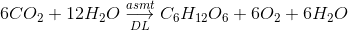 6C{O_2} + 12{H_2}O\mathrel{\mathop{\kern0pt\longrightarrow} \limits_{DL}^{asmt}} {C_6}{H_{12}}{O_6} + 6{O_2} + 6{H_2}O