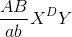 \frac{{AB}}{{ab}}{X^D}Y
