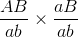 \frac{{AB}}{{ab}} \times \frac{{aB}}{{ab}}