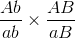 \frac{{Ab}}{{ab}} \times \frac{{AB}}{{aB}}