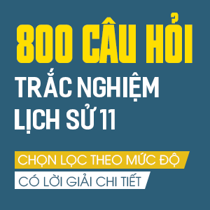VĐ7: Việt Nam từ năm 1858 đến cuối thế kỉ XIX