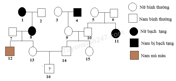 Tổng Quan Về Bệnh Bạch Tạng