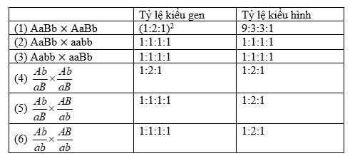 Biết Rằng Mỗi Gen Quy Định Một Tính Trạng, Alen Trội Là Trội Hoàn Toàn,  Không Xảy Ra Đột Biến Và Hoán Vị Gen. Có Bao Nhiêu Phép Lai Sau Đây Cho