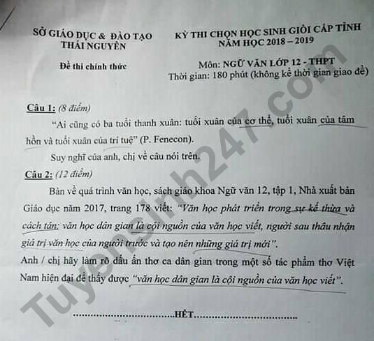 De thi chon hoc sinh gioi cap tinh mon Van lop 12 nam 2019 - Thai Nguyen