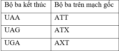 Bộ Ba Mở Đầu: Khám Phá Vai Trò và Ứng Dụng