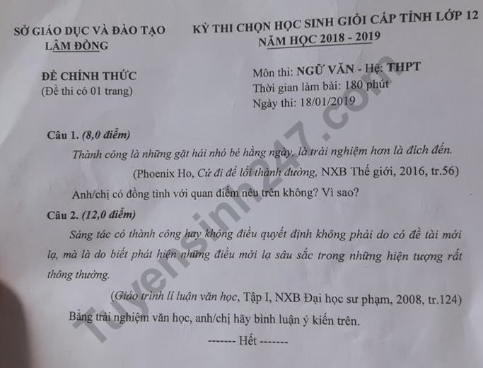 De thi chon hoc sinh gioi cap tinh mon Van he THPT 2019 - So GD Lam Dong