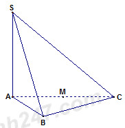 LỜI GIẢI] Cho hình chóp S.ABC có đáy ABC là tam giác đều cạnh 2a ...