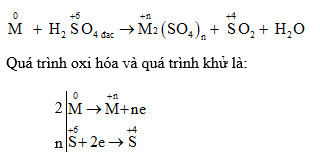 M + H2SO4 Đặc Nóng: Khám Phá Phản Ứng Hóa Học Đầy Thú Vị