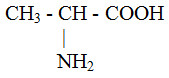 Công thức cấu tạo glyxin: Tất cả những gì bạn cần biết