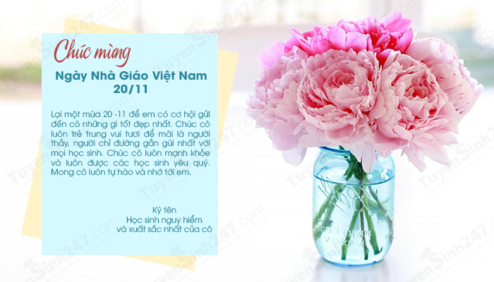 Bộ thiệp chúc mừng Ngày Nhà giáo Việt Nam chính là món quà đặc biệt dành cho các thầy cô trẻ. Hãy cùng xem qua những hình ảnh về những bộ thiệp chúc mừng đầy ý nghĩa này, để cảm nhận sự hân hoan và tình cảm chan chứa trong mỗi bức thiệp.