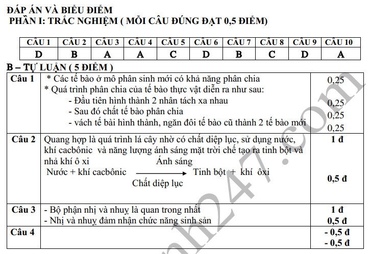 De thi cuoi ki 1 lop 6 mon Sinh THCS Van Nhan nam 2019-2020