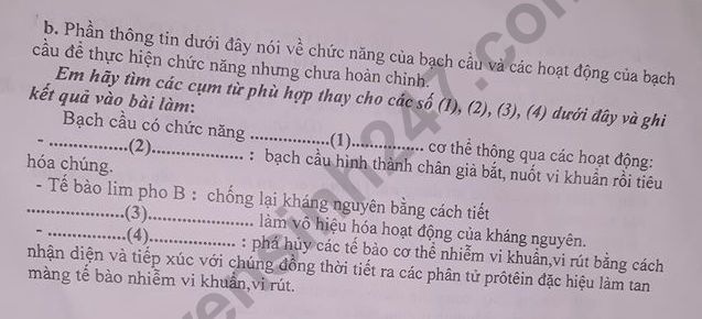 De thi ki 1 Sinh lop 8 Phong GD&DT Hai Hau nam 2019