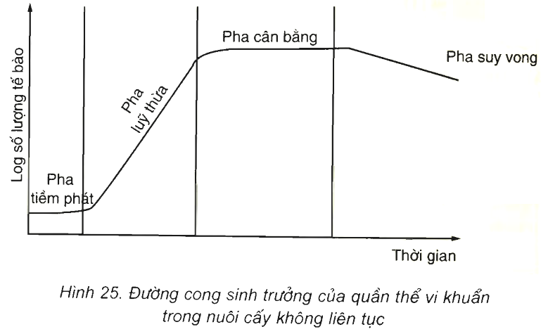 Chi tiết 66 về mô hình nuôi cấy liên tục mới nhất  Tin học Đông Hòa