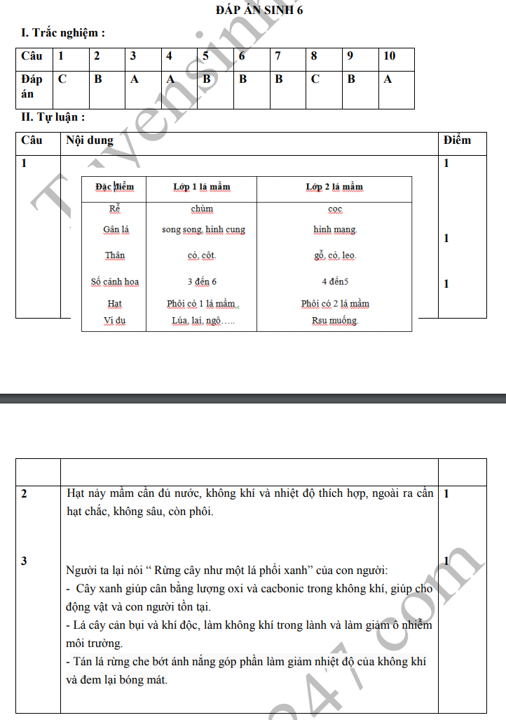 De thi ki 2 lop 6 mon Sinh 2019 - THCS Nguyen Gia Thieu