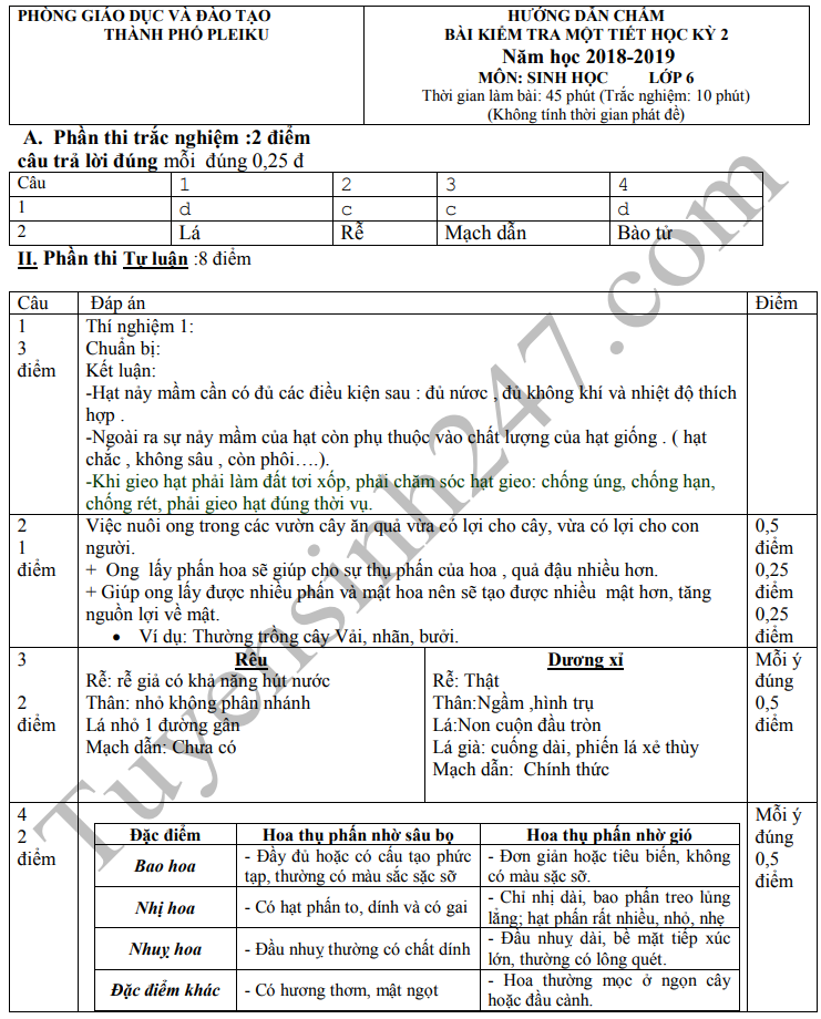 De thi ki 2 mon Sinh lop 6 - TP Pleiku 2019