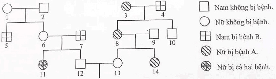 Xác Suất Sinh 2 Con Đều Không Bị Bệnh: Bí Quyết Đảm Bảo Sức Khỏe Cho Con