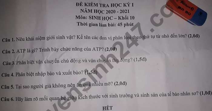 De kiem tra HK1 THPT Luong Van Can nam 2020 mon Sinh lop 10