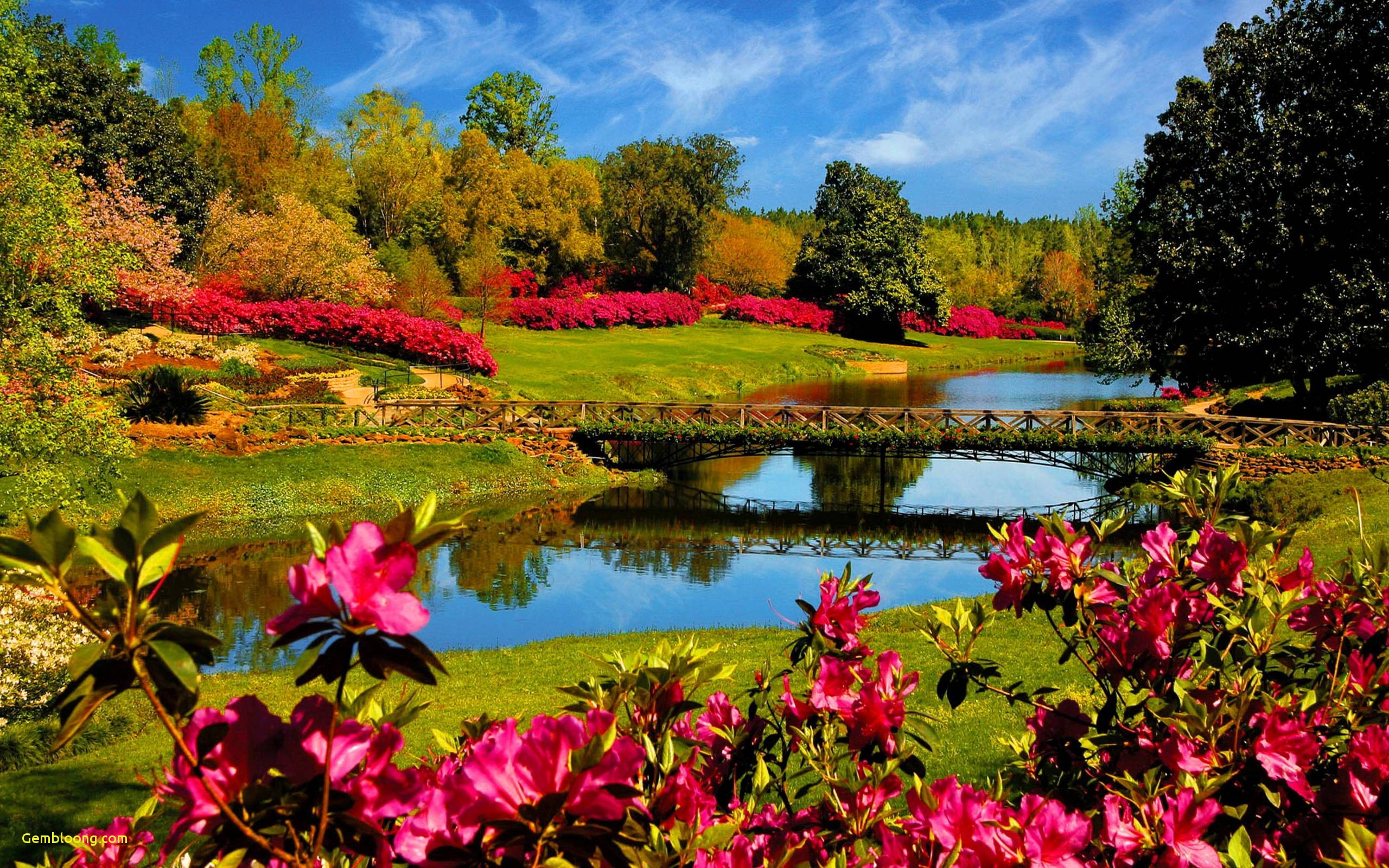 Hình Nền Nền Mùa Xuân Tươi, HD và Nền Cờ đẹp banner vườn, nền nhiếp ảnh,  nền thiên nhiên mùa xuân để Tải Xuống Miễn Phí - Lovepik