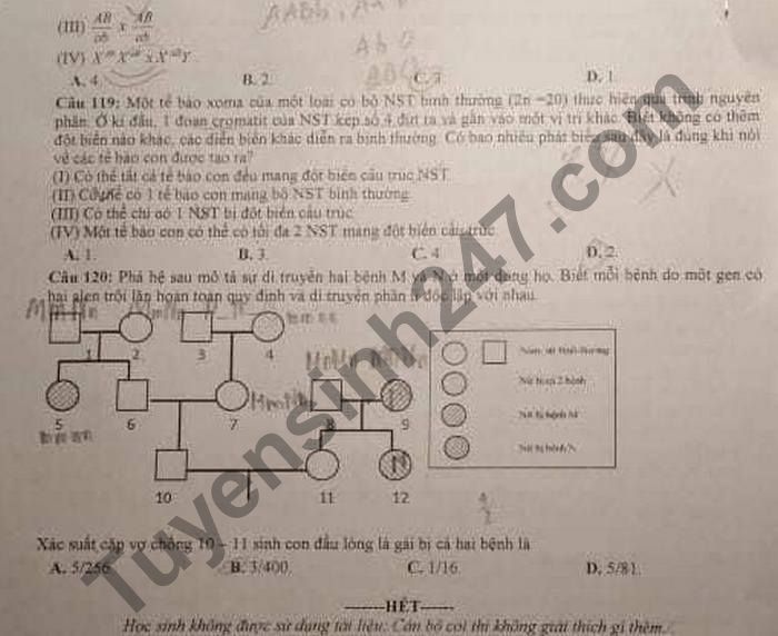 De thi KSCL lan 3 mon Sinh lop 12 truong THPT Yen Lac 2021