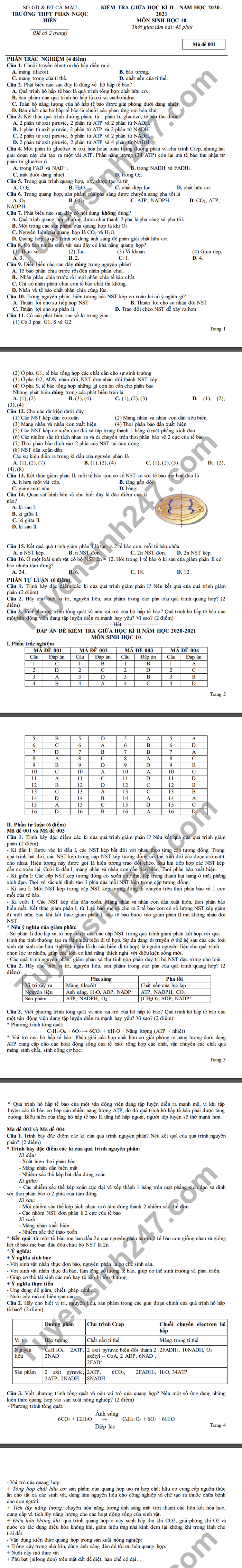 Dap an de thi giua ki 2 2021 THPT Phan Ngoc Hien mon Sinh lop 10