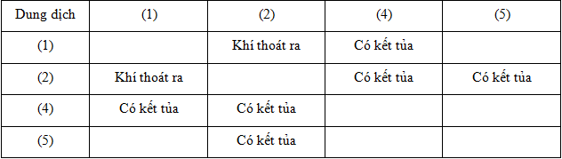 Các Dung Dịch Riêng Biệt Na2CO3, BaCl2, MgCl2, H2SO4, NaOH: Ứng Dụng và Tính Chất