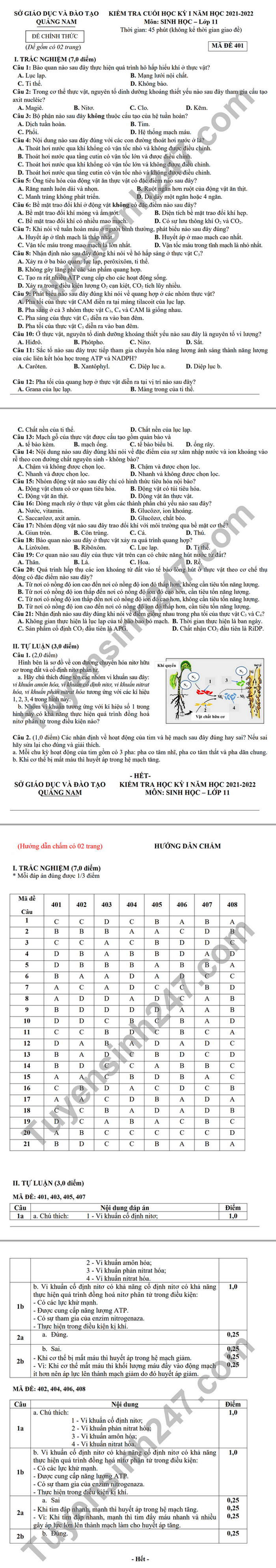 De thi ki 1 mon Sinh lop 11 2021 - So GD Quang Nam