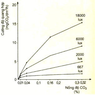 Đồ Thị Hình Bên Mô Tả Ảnh Hưởng Của Cường Độ Ánh Sáng Và Nồng Độ Co2 Đến  Cường Độ Quang Hợp Của Cây. Theo Lí Thuyết, Có Bao Nhiêu Phát Biểu