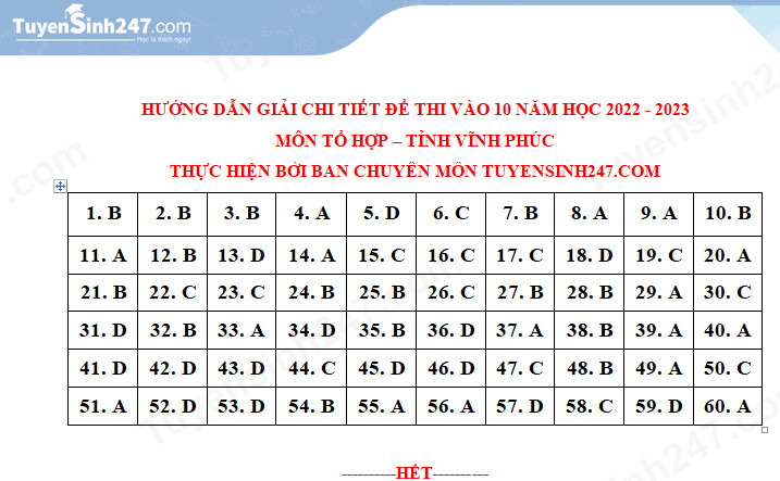 De thi vao lop 10 bai tong hop tinh Vinh Phuc 2022 - Co dap an