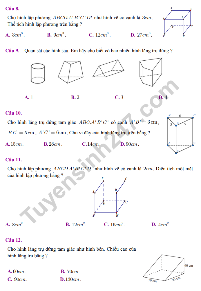 Cách tạo Mô hình ngôi nhà 3D từ vật liệu đã qua sử dụng  Mĩ thuật lớp 61  Sự liên kết hình khối  YouTube