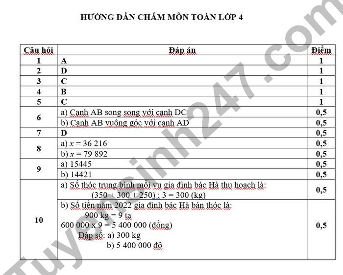 De thi giua ki 1 mon Toan lop 4 TH Tan Hoi Trung 1 2022 (Co dap an)