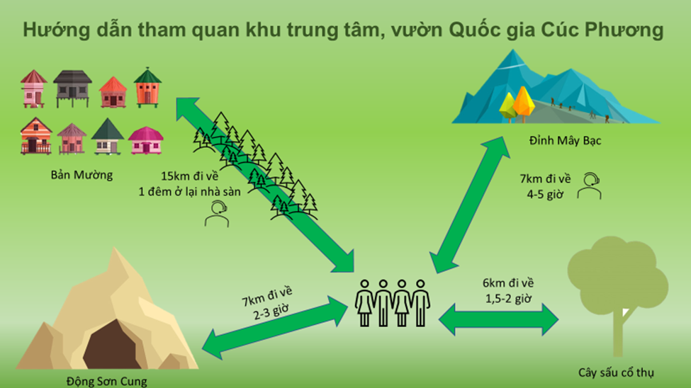 Phương tiện phi ngôn ngữ: Tầm quan trọng và vai trò trong giao tiếp