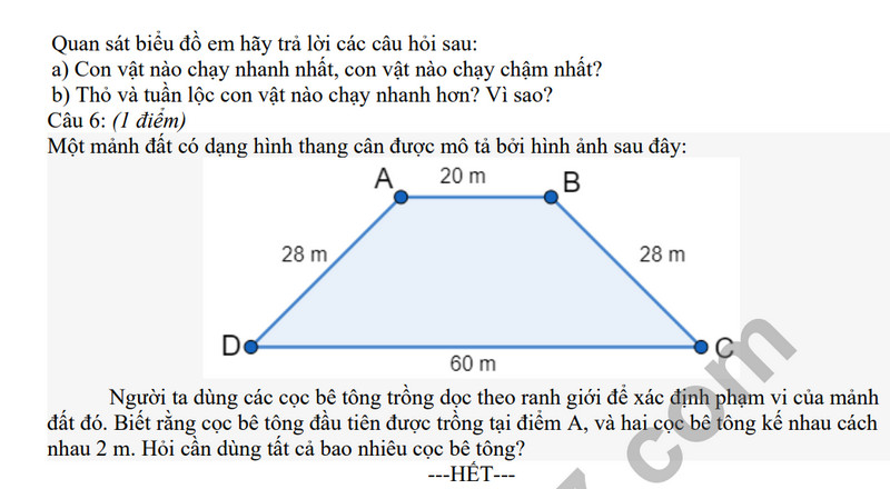De tham khao ki 1 mon Toan lop 6 - THCS Tan Thanh Tay 2023