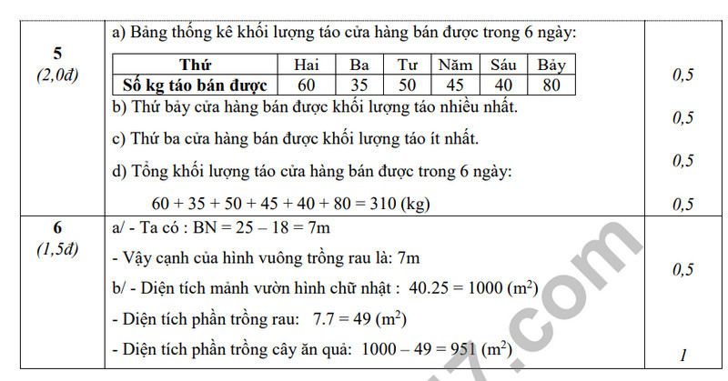De tham khao ki 1 mon Toan lop 6 - THCS Tan Thanh Dong 2023