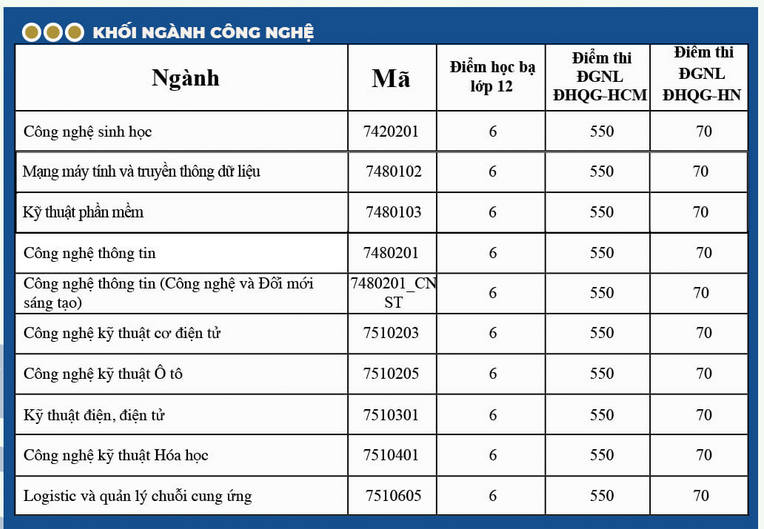 Diem san DGNL, hoc ba Dai hoc Nguyen Tat Thanh 2024
