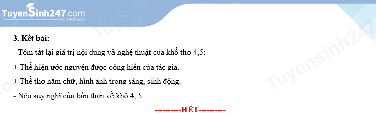 Dap an de thi vao lop 10 mon Van - Ninh Thuan 2024