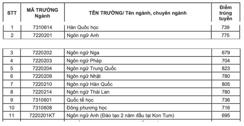 Dai hoc Ngoai ngu Da Nang cong bo diem chuan hoc ba, DGNL 2024