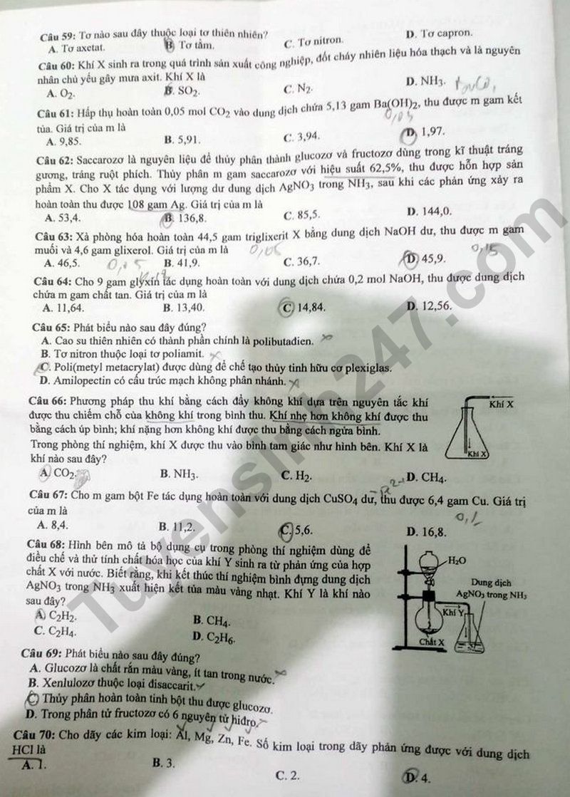 Dap an de thi mon Hoa tot nghiep THPT 2024 - Ma de 205