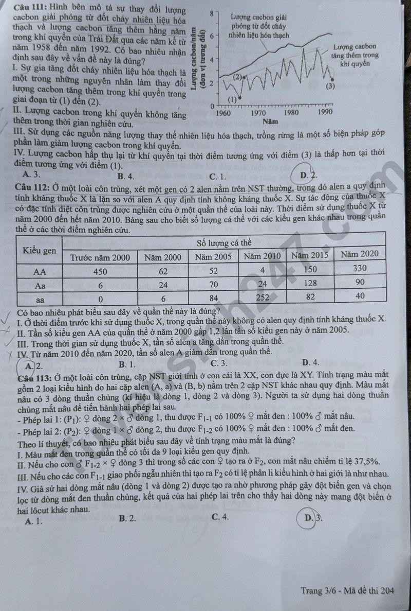 Dap an de thi tot nghiep THPT mon Sinh - Ma de 204 nam 2024