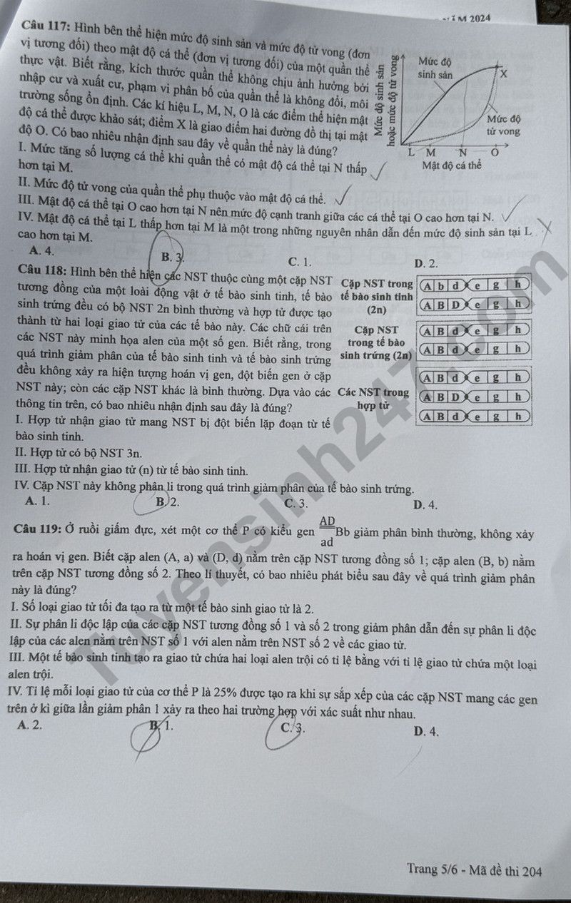 Dap an de thi tot nghiep THPT mon Sinh - Ma de 204 nam 2024