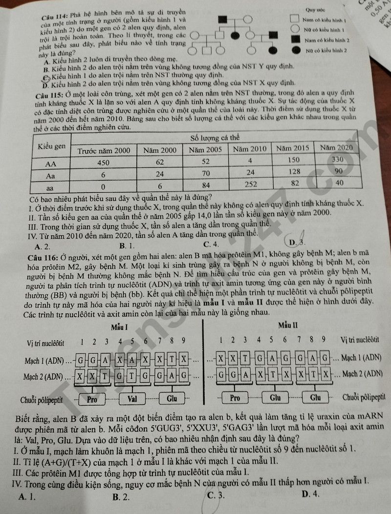 Dap an de thi tot nghiep THPT mon Sinh 2024 - Ma de 203