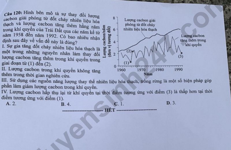 Dap an de thi tot nghiep THPT 2024 mon Sinh ma de 205