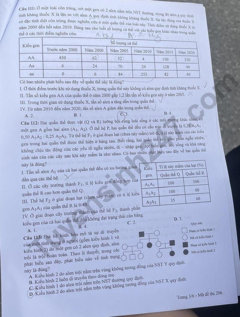 Dap an de thi tot nghiep THPT mon Sinh 2024 - Ma de 206