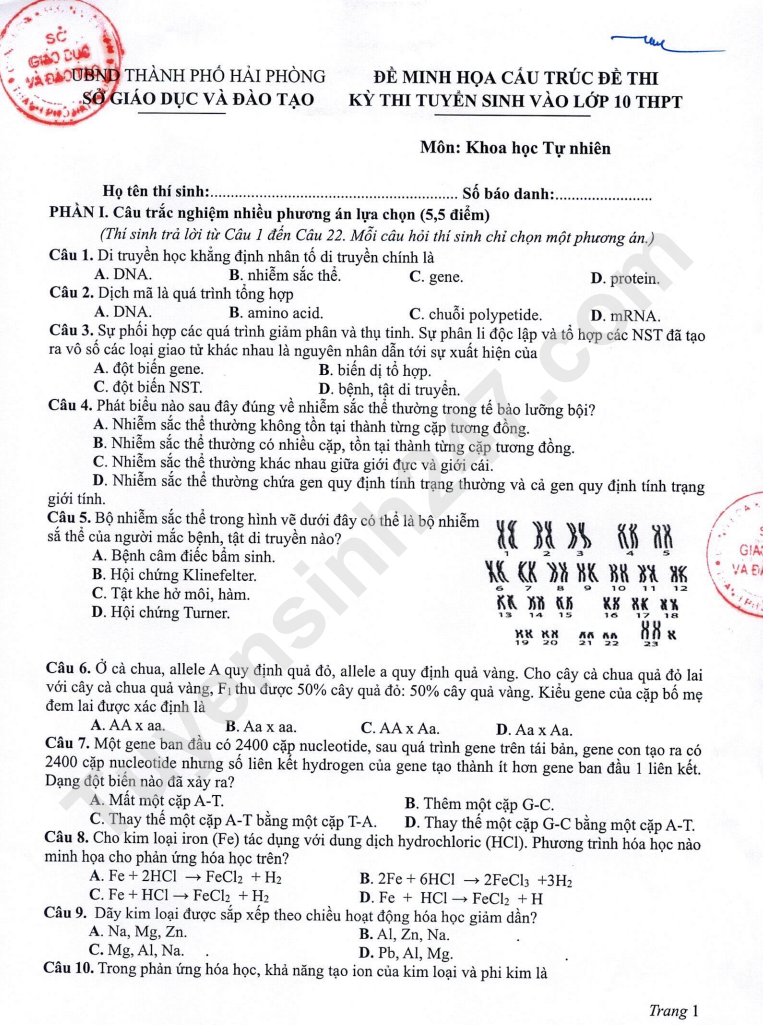 De minh hoa vao lop 10 Hai Phong mon Khoa hoc tu nhien 2025 (Co dap an)