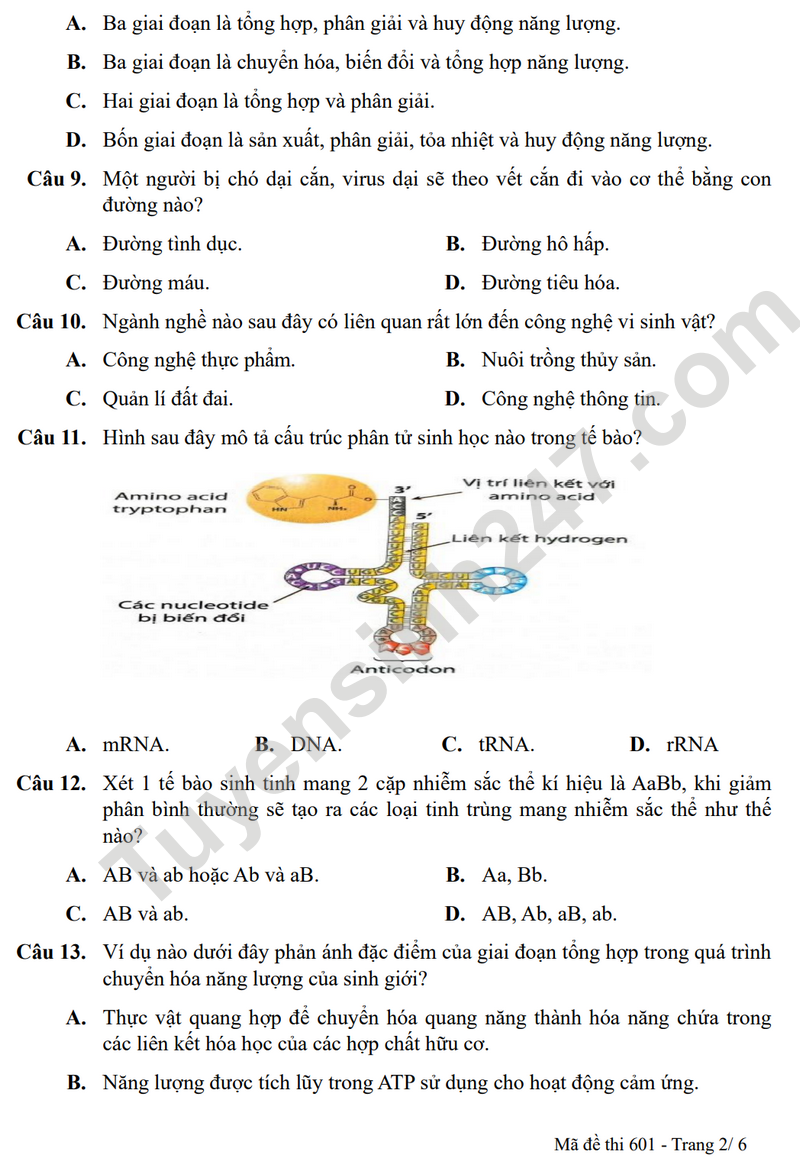 De KSCL mon Sinh lop 11 nam 2025 - THPT Thuan Thanh 1 (Co dap an)