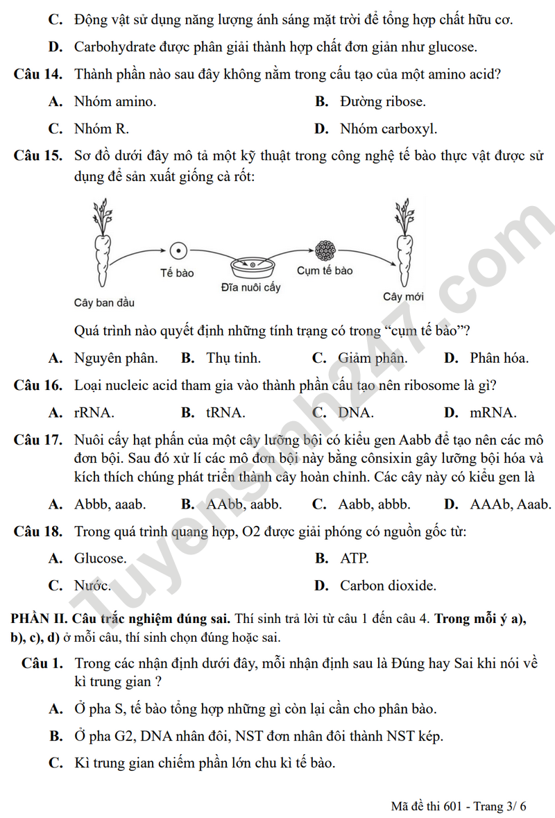 De KSCL mon Sinh lop 11 nam 2025 - THPT Thuan Thanh 1 (Co dap an)