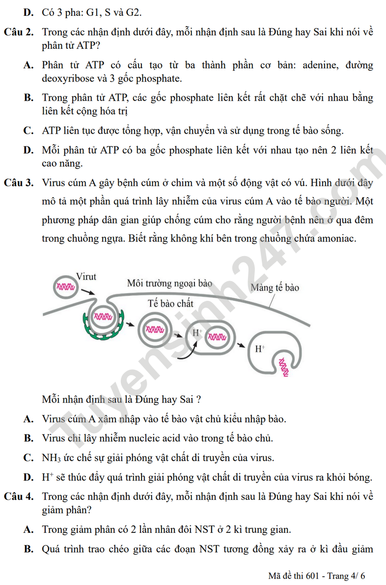 De KSCL mon Sinh lop 11 nam 2025 - THPT Thuan Thanh 1 (Co dap an)