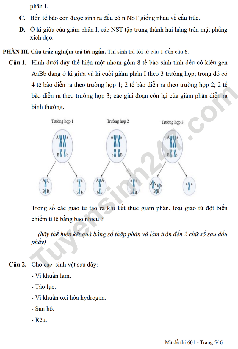 De KSCL mon Sinh lop 11 nam 2025 - THPT Thuan Thanh 1 (Co dap an)