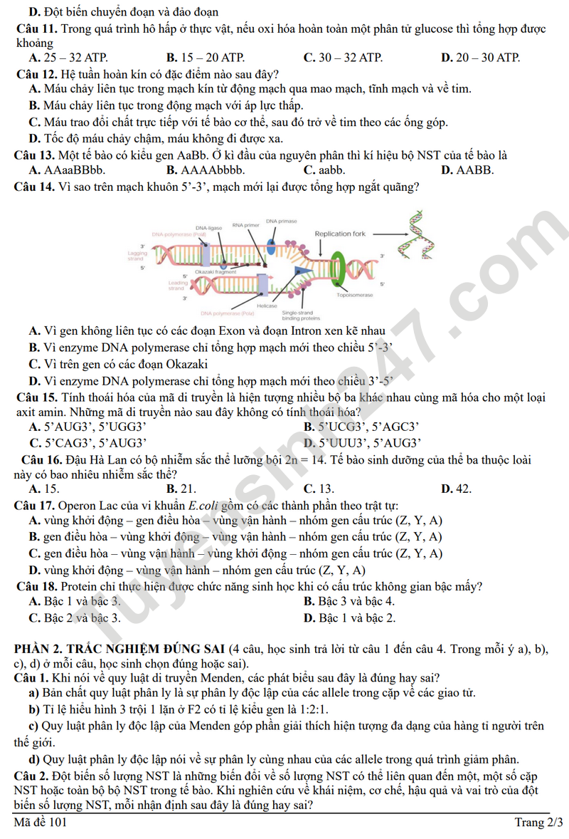 De khao sat lop 12 mon Sinh nam 2025 - THPT Thuan Thanh 1 (co dap an)