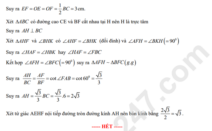 De minh hoa vao lop 10 TPHCM mon Toan 2025 (Co dap an)