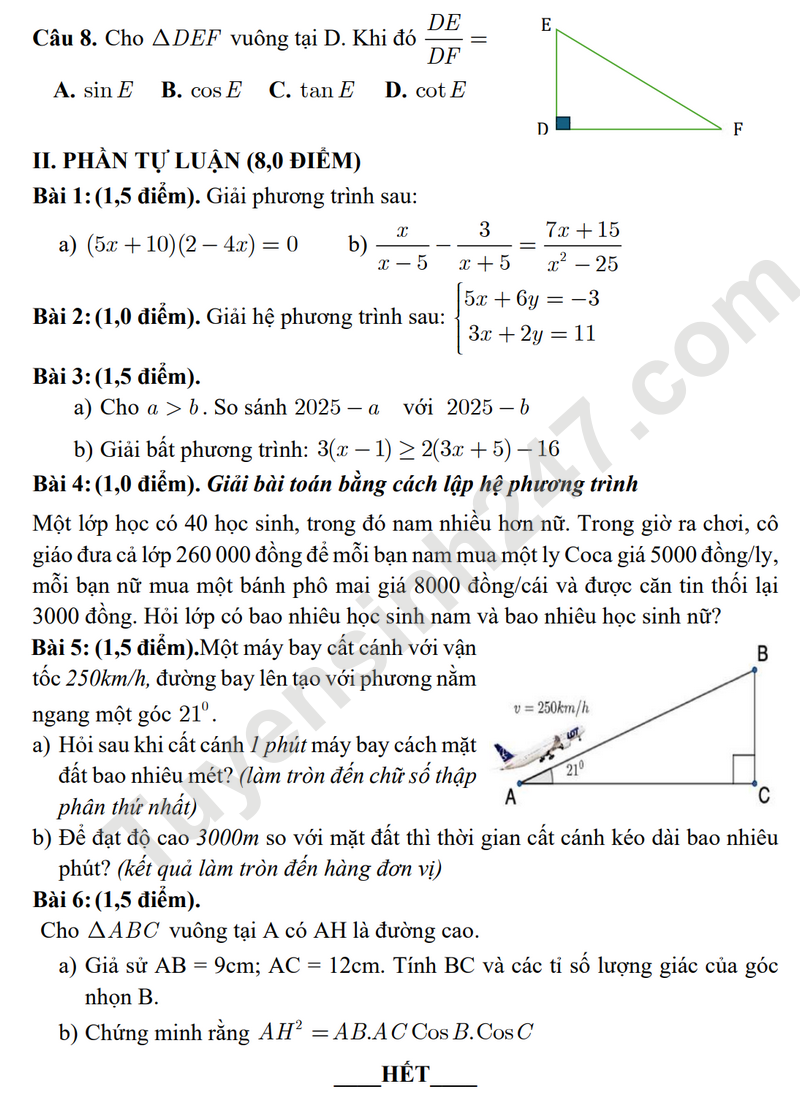 De thi giua HK1 Toan lop 9 - THCS Tam Dong 1 nam 2024 (De minh hoa)